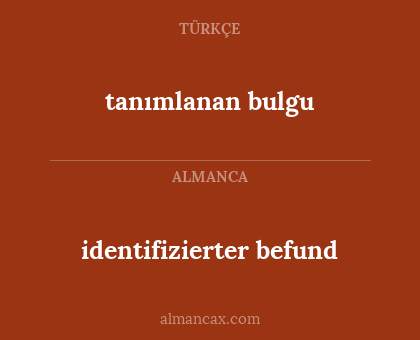 tanımlanan bulgu - identifizierter befund