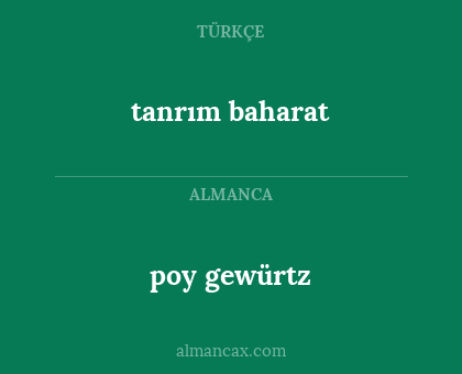 poy gewürtz - tanrım baharat
