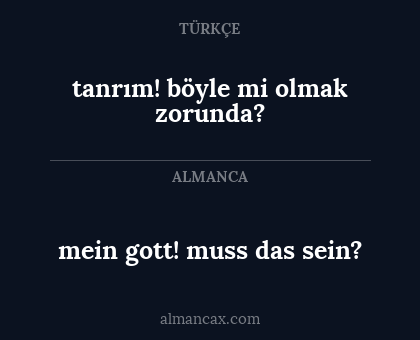 mein gott! muss das sein? - tanrım! böyle mi olmak zorunda?