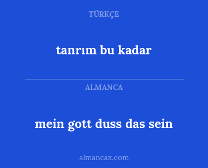 tanrım bu kadar - mein gott duss das sein