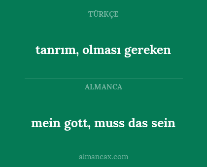 mein gott, muss das sein - tanrım, olması gereken