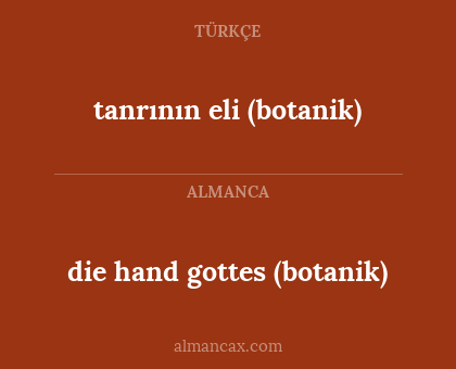 die hand gottes (botanik) - tanrının eli (botanik)