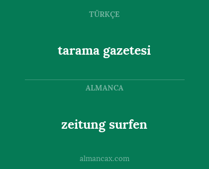tarama gazetesi - zeitung surfen