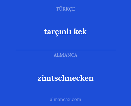 zimtschnecken - tarçınlı kek
