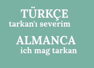 tarkan%26%2339%3B%C4%B1+severim-ich+mag+tarkan.png