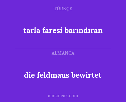 tarla faresi barındıran - die feldmaus bewirtet