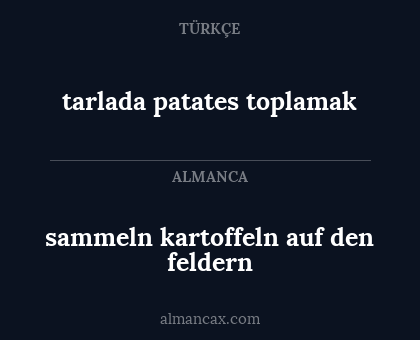 tarlada patates toplamak - sammeln kartoffeln auf den feldern