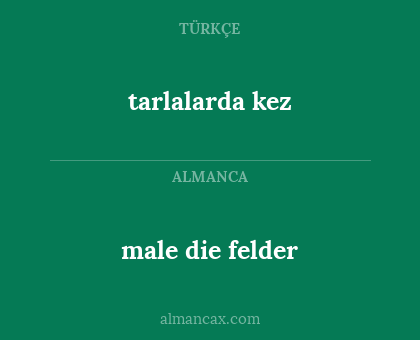 tarlalarda kez - male die felder