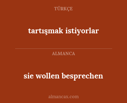 sie wollen besprechen - tartışmak istiyorlar