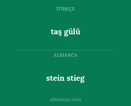 stein stieg - taş gülü