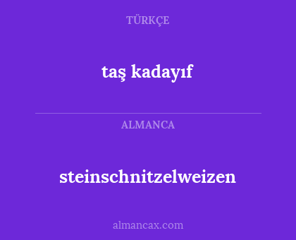 steinschnitzelweizen - taş kadayıf