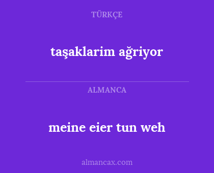 meine eier tun weh - taşaklarim ağriyor