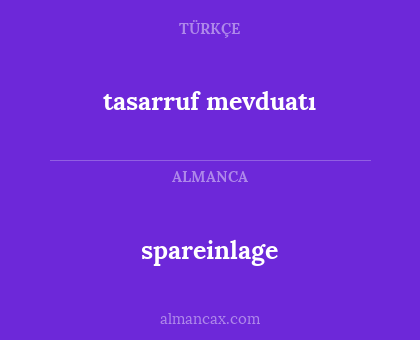 tasarruf mevduatı - spareinlage