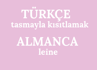 tasmayla+k%C4%B1s%C4%B1tlamak-leine.png