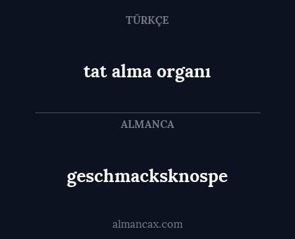 geschmacksknospe - tat alma organı