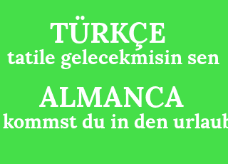 tatile+gelecekmisin+sen-kommst+du+in+den+urlaub%3F.png