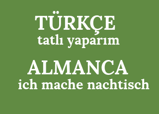 tatl%C4%B1+yapar%C4%B1m-ich+mache+nachtisch.png