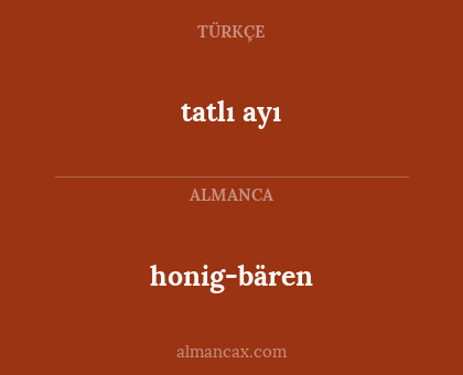 honig-bären - tatlı ayı