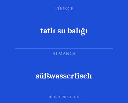 tatlı su balığı - süßwasserfisch
