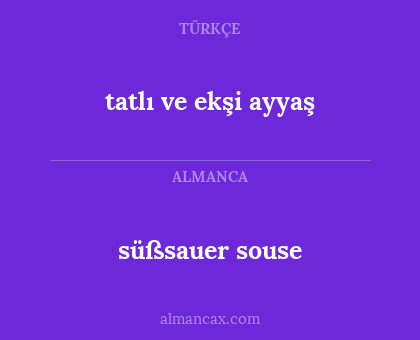 tatlı ve ekşi ayyaş - süßsauer souse