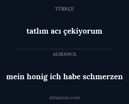 mein honig ich habe schmerzen - tatlım acı çekiyorum