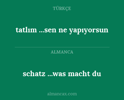 schatz ...was macht du - tatlım ...sen ne yapıyorsun
