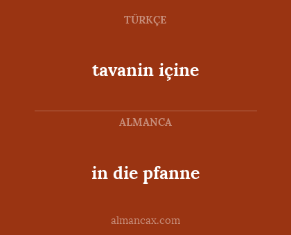 tavanin içine - in die pfanne