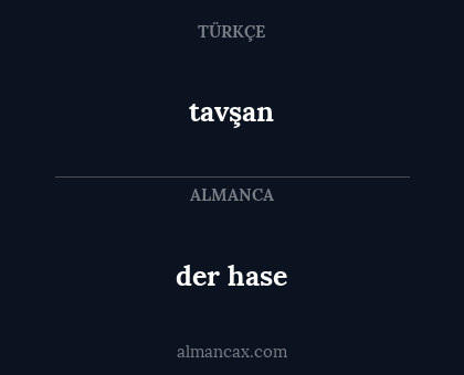 tavşan - der hase