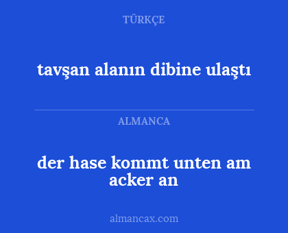 der hase kommt unten am acker an - tavşan alanın dibine ulaştı