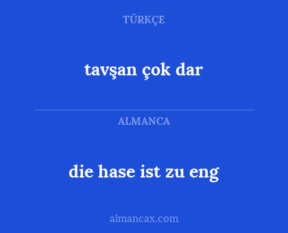 die hase ist zu eng - tavşan çok dar