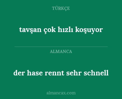 der hase rennt sehr schnell - tavşan çok hızlı koşuyor