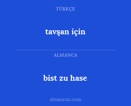 tavşan için - bist zu hase