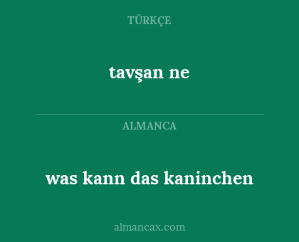 tavşan ne - was kann das kaninchen
