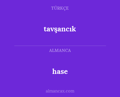 hase - tavşancık