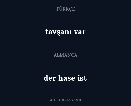 der hase ist - tavşanı var