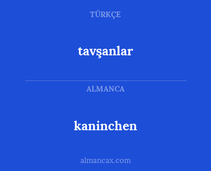 tavşanlar - kaninchen