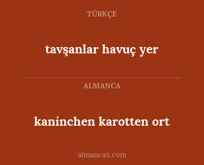 tavşanlar havuç yer - kaninchen karotten ort