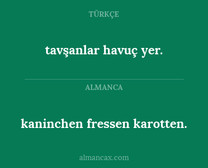 tavşanlar havuç yer. - kaninchen fressen karotten.