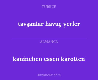tavşanlar havuç yerler - kaninchen essen karotten