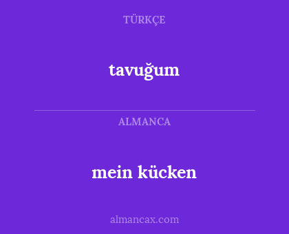 mein kücken - tavuğum