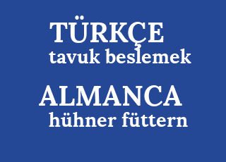 tavuk+beslemek-h%C3%BChner+f%C3%BCttern.png