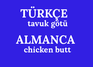Almanca Ceviri Almanca Tavuk Gotu Ne Demek Tavuk Gotu Almancasi