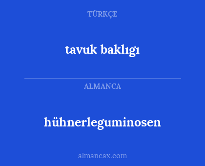 tavuk baklıgı - hühnerleguminosen