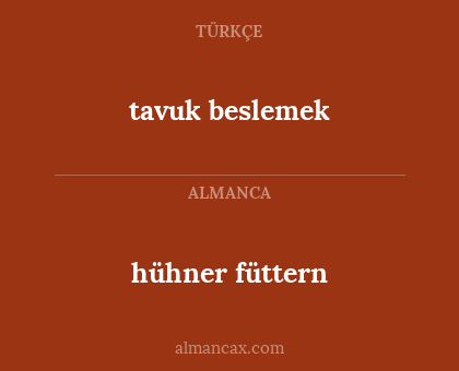 tavuk beslemek - hühner füttern