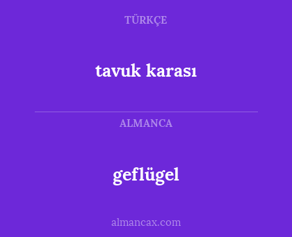 tavuk karası - geflügel