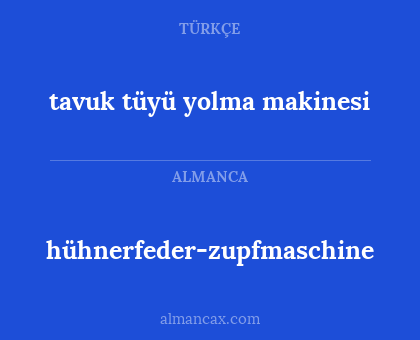 hühnerfeder-zupfmaschine - tavuk tüyü yolma makinesi
