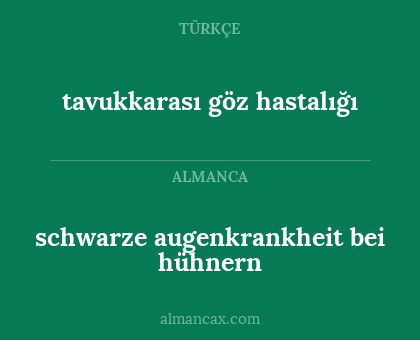 tavukkarası göz hastalığı - schwarze augenkrankheit bei hühnern