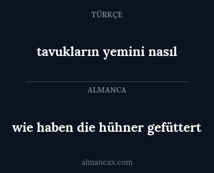wie haben die hühner gefüttert - tavukların yemini nasıl
