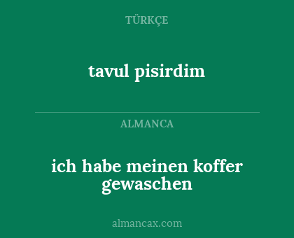 ich habe meinen koffer gewaschen - tavul pisirdim
