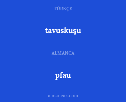 pfau - tavuskuşu